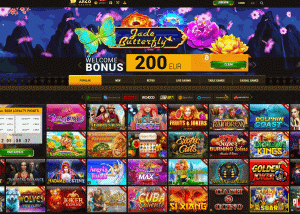 20 FREE SPINS bonus